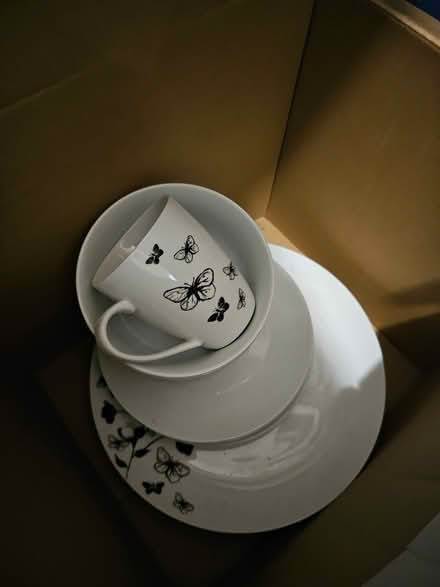 Photo of free Plates and a cup (Netheredge/sharrow (S7)) #1