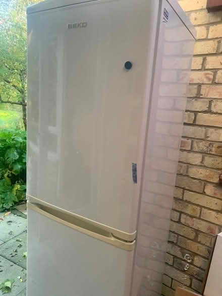 Photo of free Beko Fridge Freezer (Foxton) #1