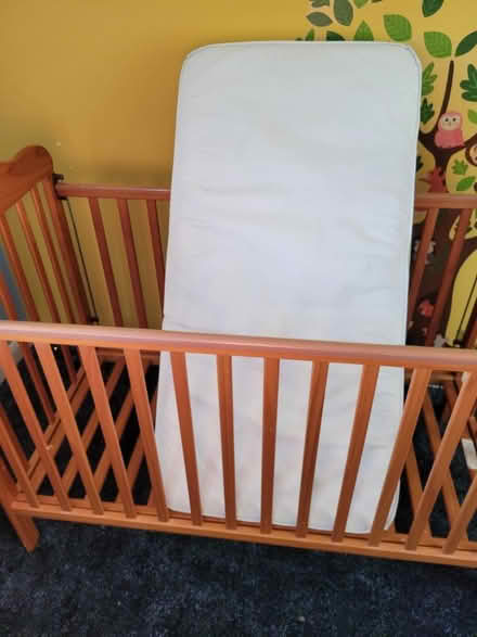 Photo of free Wooden cot bed and mattress (Bedford) #3