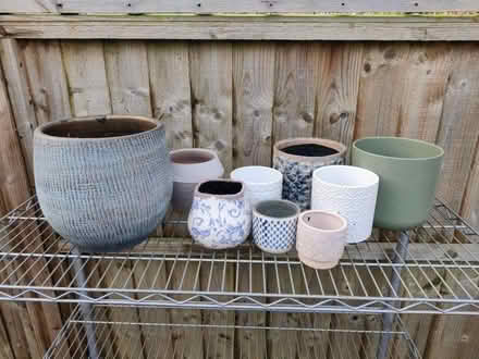 Photo of free Selection of plant pots (Emsworth PO10) #1