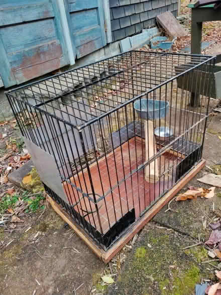 Photo of free Bird cage (Norton MA) #1