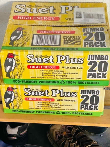 Photo of free Bird Seed and Suet (Allied Gardens) #1