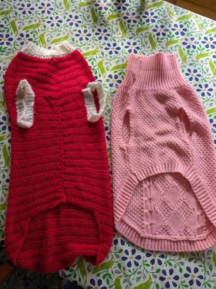 Photo of free Dog sweaters (Worcester, 01606) #1