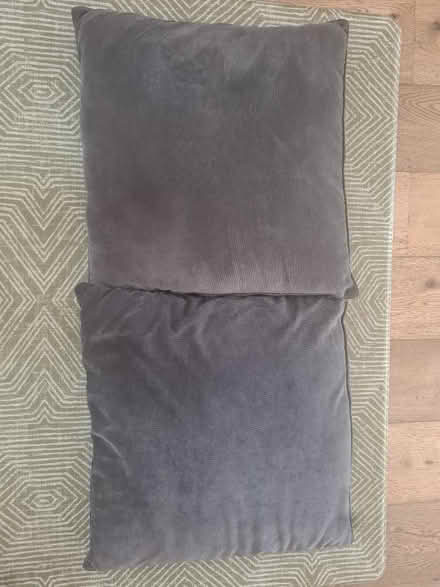 Photo of free Two Large Cushions (CT17) #1