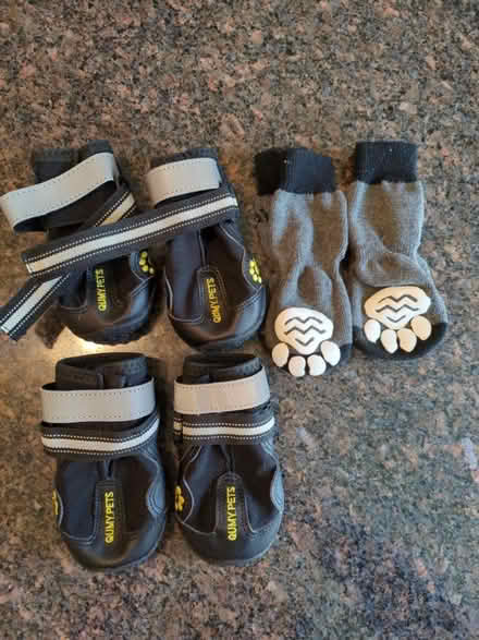 Photo of free Dog hiking booties and socks (Worcester, 01606) #1
