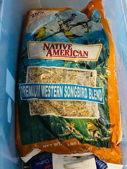 Photo of free Bird Seed and Suet (Allied Gardens) #2