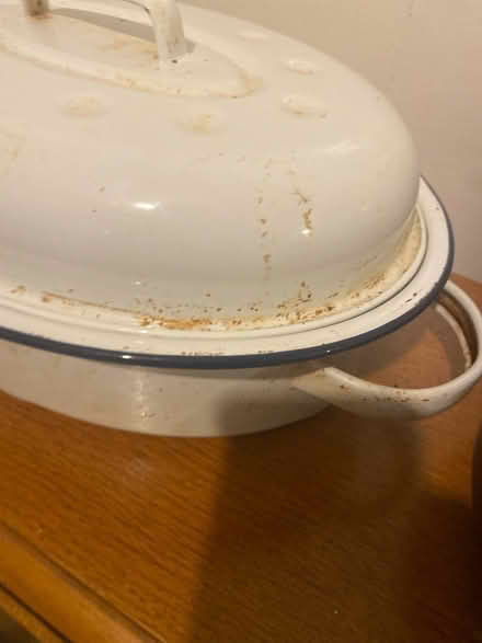 Photo of free Enamel Roasting Tin - Xmas Turkey (Clifton BS8) #3