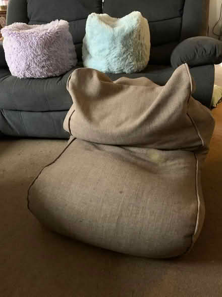 Photo of free Bean bags (Markfield LE67) #2