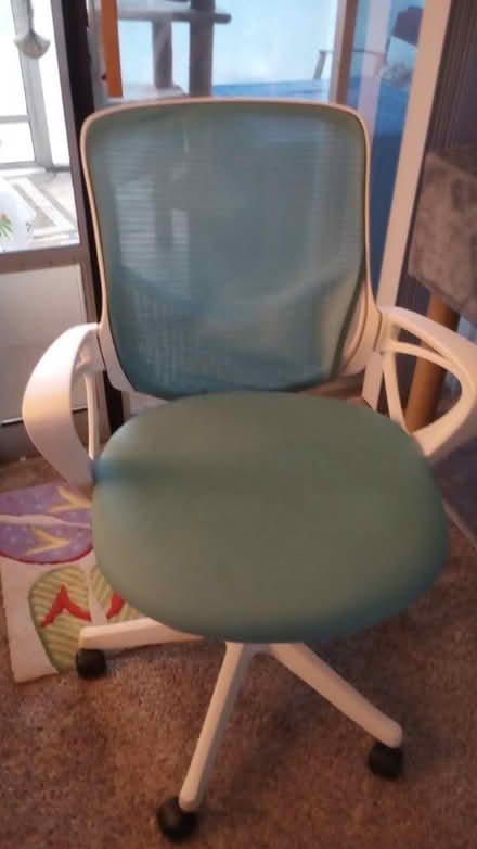 Photo of free Teal blue and white office chair (Western Lake Worth) #1