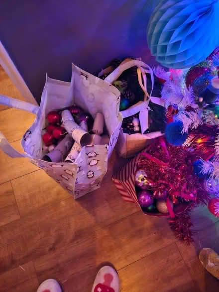 Photo of free Christmas decorations (Emsworth PO10) #2