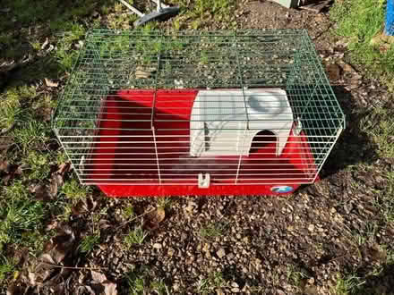 Photo of free Guinea pig /rabbit cage (Lyme Regis DT7) #1