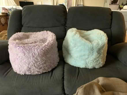 Photo of free Bean bags (Markfield LE67) #1