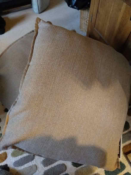 Photo of free Sofa cushions (Leigh RH2) #1