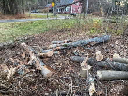 Photo of free wood (Shutesbury) #1
