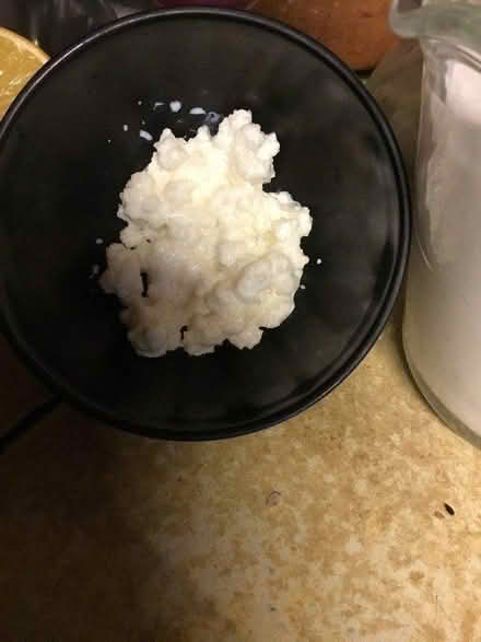 Photo of free Live Kefir Grains (Totton SO40) #1