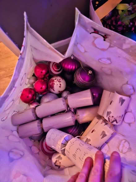 Photo of free Christmas decorations (Emsworth PO10) #4