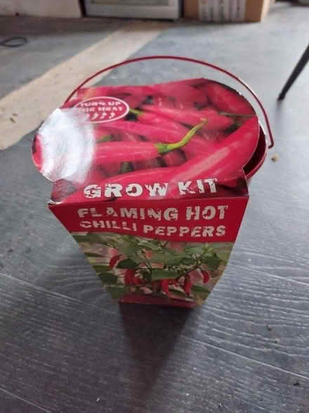 Photo of free Grow your own chillies (LL11) #1