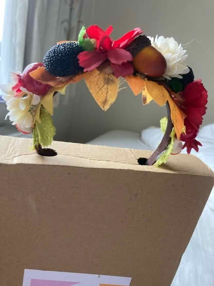 Photo of free Child’s Alice / hair band (Eastcote HA5) #2