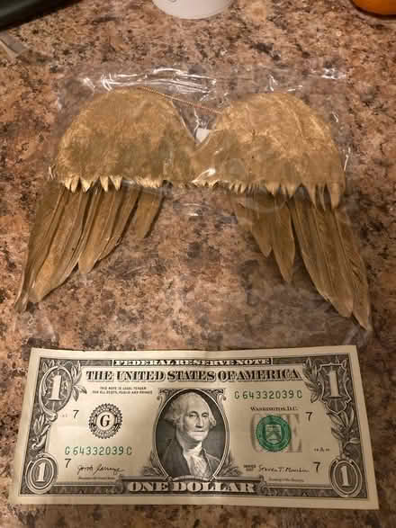 Photo of free Doll-Sized Angel Wings (Ypsilanti Township) #2