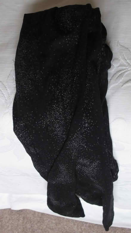 Photo of free Black sparkly tights (Kendal LA9) #1