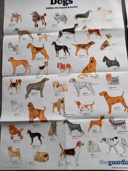 Photo of free Posters (NR28) #2
