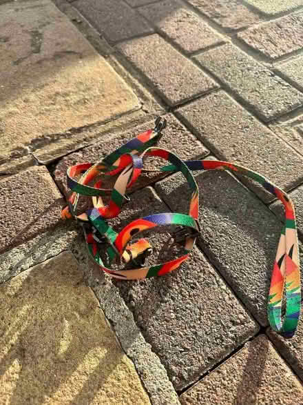 Photo of free Leash (Bromley BR2) #1