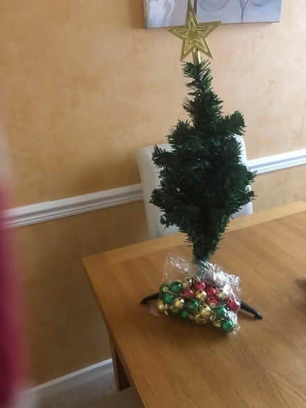 Photo of free Tabletop small xmas tree (Poplars SG2) #1