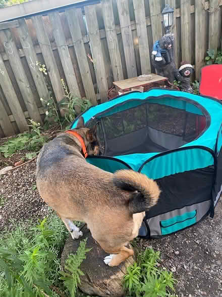 Photo of free Small Animal Pens/Crates (Vanier) #1