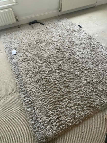 Photo of free Lovely large rug (Tunbridge Wells) #1