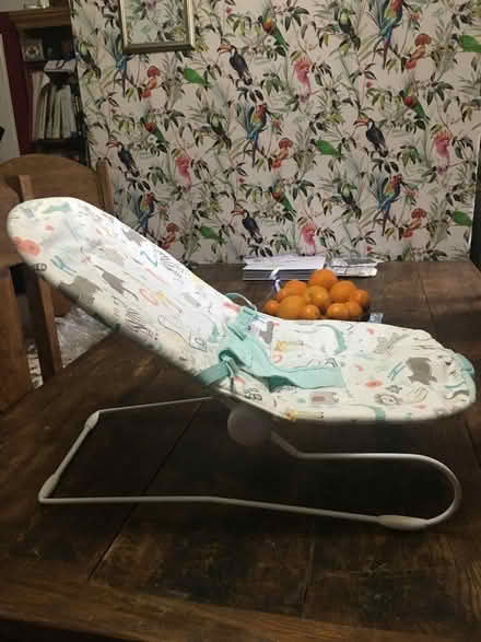 Photo of free Baby bouncer (Wales S26) #1