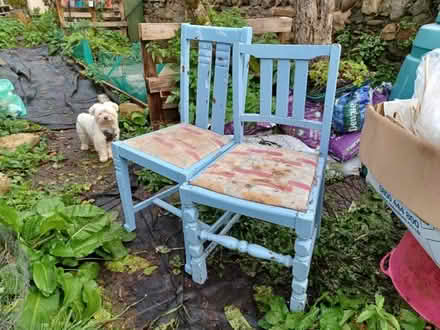 Photo of free Chairs (Canton CF11) #1