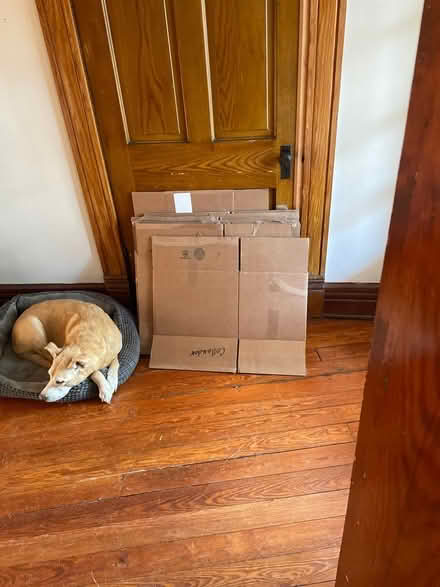 Photo of free Moving boxes (Highlands) #1