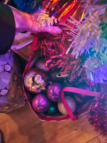 Photo of free Christmas decorations (Emsworth PO10) #3
