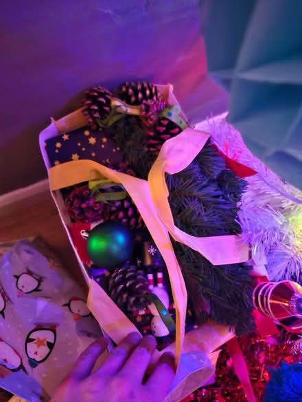 Photo of free Christmas decorations (Emsworth PO10) #1