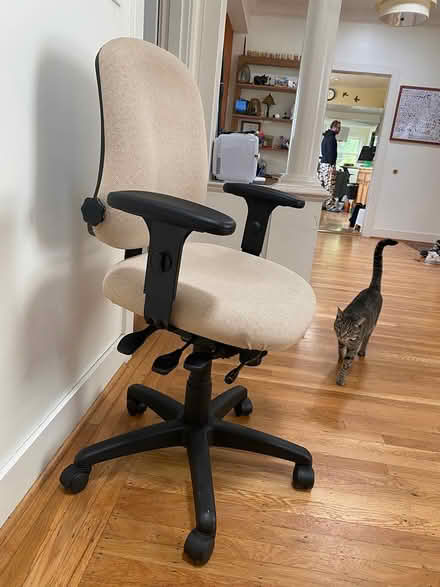 Photo of free Office Chair (San Rafael) #1