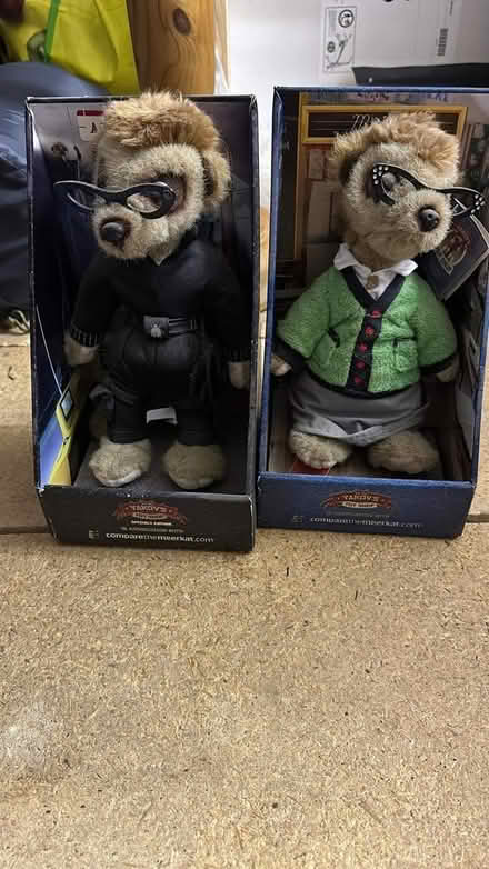 Photo of free Meerkats (Rochester, ME1) #1