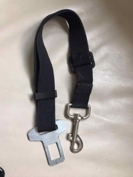 Photo of free Dog car seat belts (Winkfield Row RG42) #1