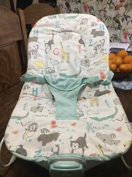Photo of free Baby bouncer (Wales S26) #2