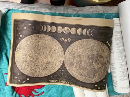Photo of free Big Box of Posters (Midtown Palo Alto) #3