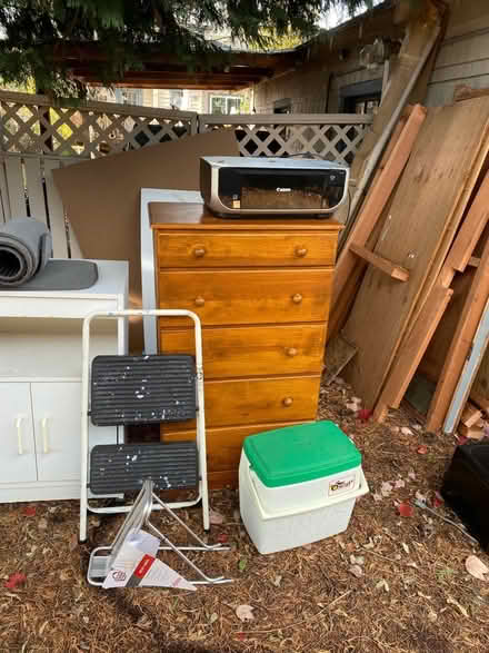 Photo of free stuff (South Bitterlake) #3