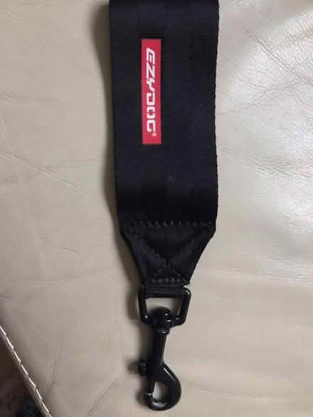 Photo of free Dog car seat belts (Winkfield Row RG42) #3