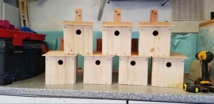 Photo of free Bird boxes (Kirkcaldy KY2) #2