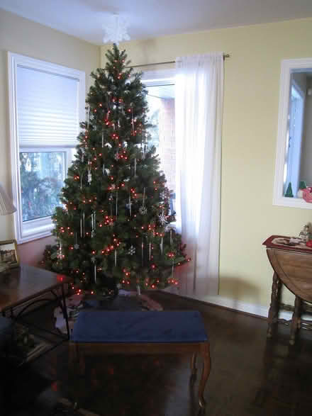 Photo of free Pre-Lit Christmas Tree (Bayview Ave and Wellington St) #1