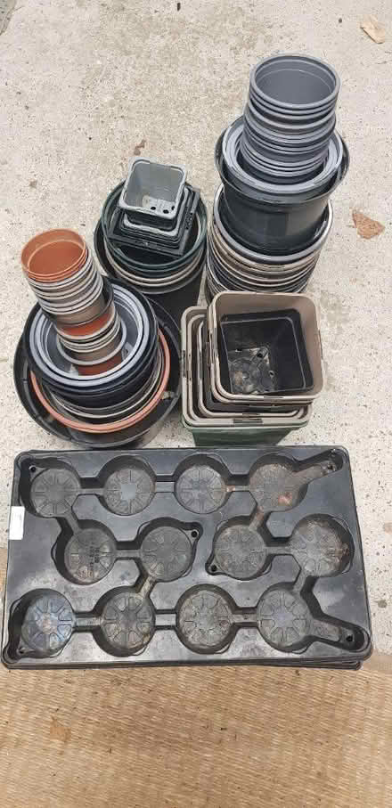 Photo of free Plant pots (Wimbledon SW19) #1