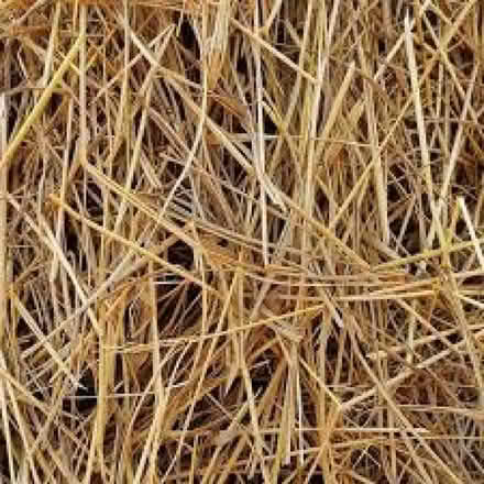 Photo of Straw/ hay (Buckhurst Hill IG9) #1
