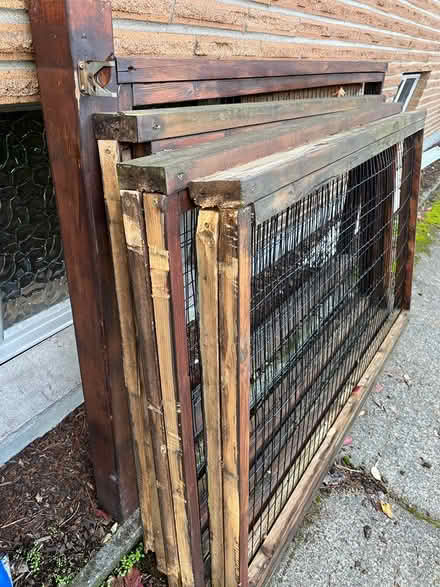 Photo of free Fencing with gates (Maple Leaf) #2