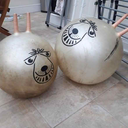 Photo of free 2 x space hoppers (crouch end, N8) #1