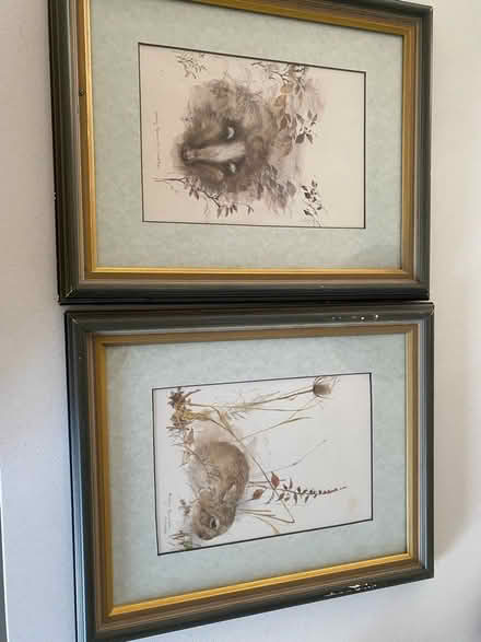 Photo of free Animal prints (Lower Dean) #1