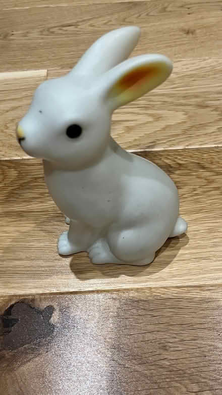 Photo of free Rabbit light decoration (SE28) #2