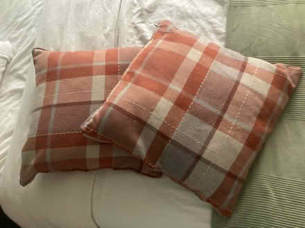 Photo of free 2 orange next cushions (Warrington WA4) #1